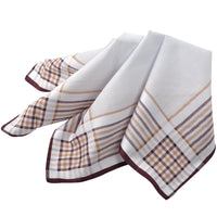 DION 3-PACK COTTON HANKIES - MULTI-FINE BAR STRIPE