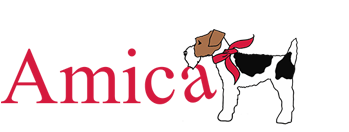 AMICA FELT
