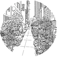 FULTON & ROARK SOLID COLOGNE - FLOWER DISTRICT