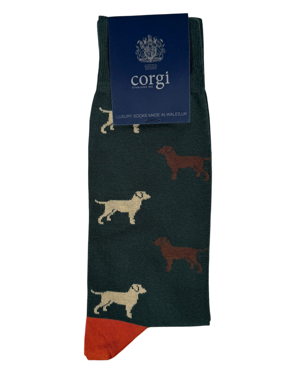 CORGI MEN'S SOCK - LABRADORS