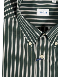 GALLIA MEN'S SHIRT - OLIVE WITH WHITE DOUBLE STRIPE