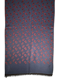 BIGI PAISLEY SCARF - NAVY/RED