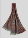 ETRO WOOL/SILK SCARF - MULTICOLOR ON BORDEAUX