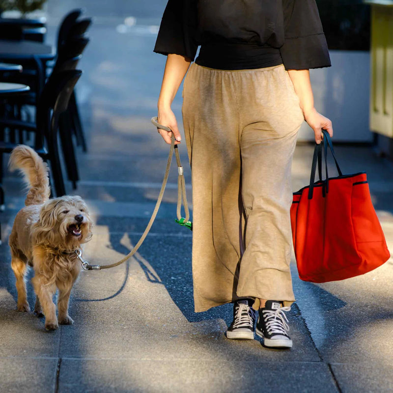 SONOMA COUNTY LEATHER - DAY & NIGHT TOTE - ORANGE