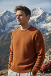 HARLEY OF SCOTLAND TIPPED SHETLAND WOOL SWEATER - CAROB/AMBER