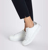 MAC WOMEN'S DREAM SUMMER DENIM JEAN - POWDER DARK BLUE